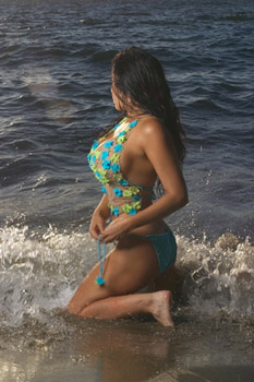 Angel, Your Ultimate Travel Companion!